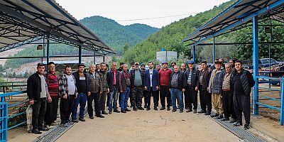 Alanya Kurban Pazarı açıldı