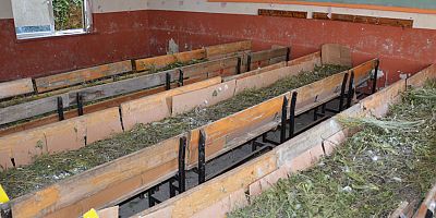 Alanya Sapadere, ipekböcekçiliğinin merkezi olacak