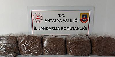 Alanya ve Demre İlçelerinde Kaçak Tütün Operasyonu