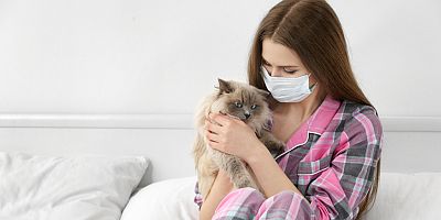 Alerjisi olanlar için kedili bir hayat mümkün