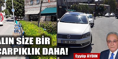 ALIN SİZE BİR ÇARPIKLIK DAHA!