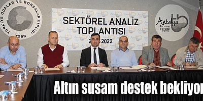Altın susam destek bekliyor
