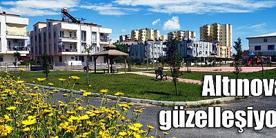 Altınova güzelleşiyor