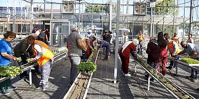 Alzheimer hastaları Mavi Ev’de moral buluyor