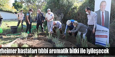 Alzheimer hastaları tıbbi aromatik bitki ile iyileşecek