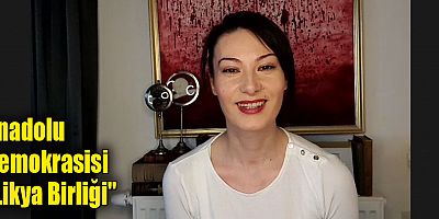 Anadolu Demokrasisi 