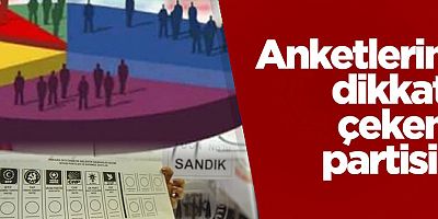 Anketlerin dikkat çeken partisi!