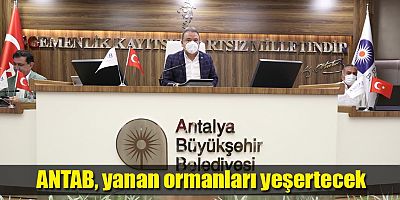 ANTAB, yanan ormanları yeşertecek
