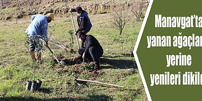 Antalya Büyükşehir Belediyesi’nden fidan desteği