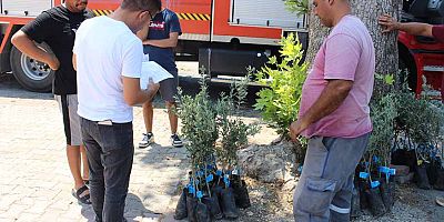 Antalya Büyükşehir Belediyesi’nden zeytin seferberliği