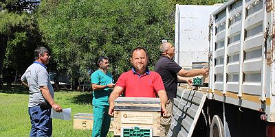 Antalya Büyükşehir Belediyesi’nin arı üreticilerine kovan desteği sürüyor
