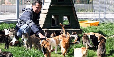 Antalya Büyükşehir Belediyesi Sokak Hayvanları Bakımevi hizmette