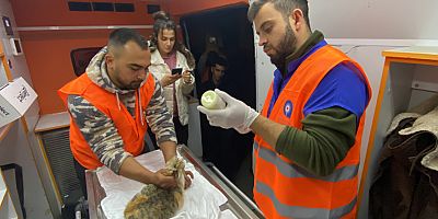 Antalya Büyükşehir Belediyesi veterinerleri Gaziantep’te