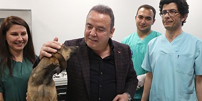 Antalya Büyükşehir’den ‘Can Dostlara’ Türkiye’nin en modern tesisi