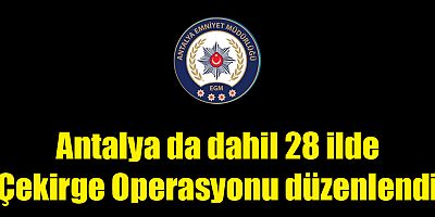 Antalya da dahil 28 ilde Çekirge Operasyonu düzenlendi