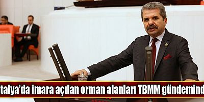 Antalya’da imara açılan orman alanları TBMM'de!
