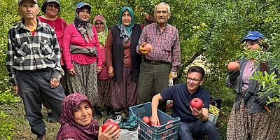 Antalya'da nar vakti. Atay Uslu nar bahçelerinde çiftçilerle sohbet etti