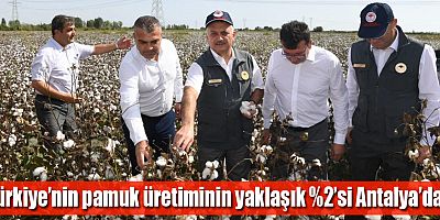 Antalya'da pamukta ilk hasat Vali Yazıcı'dan