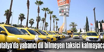 Antalya'da yabancı dil bilmeyen taksici kalmayacak