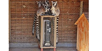 Antalya Doğal Yaşam Parkı’nda soğuk hava önlemi