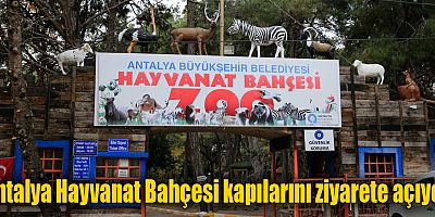 Antalya Hayvanat Bahçesi kapılarını ziyarete açıyor