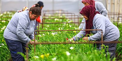 Antalya’nın caddeleri baharda rengârenk olacak