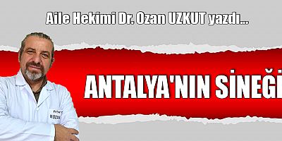 ANTALYA'NIN SİNEĞİ