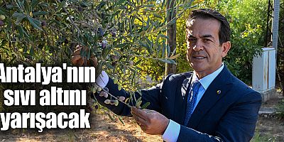 Antalya'nın Sıvı Altını Yarışacak