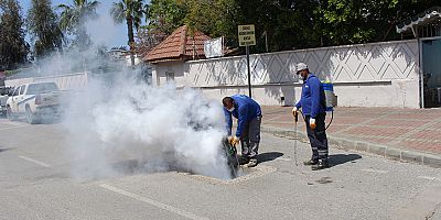 Antalya’nın tüm ilçelerinde haşereyle mücadele sürüyor