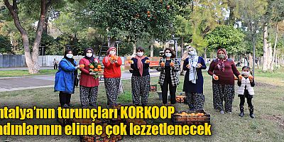 Antalya’nın turunçları KORKOOP kadınlarının elinde çok lezzetlenecek