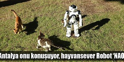 Antalya onu konuşuyor, hayvansever Robot ‘NAO’