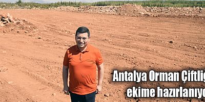 Antalya Orman Çiftliği ekime hazırlanıyor