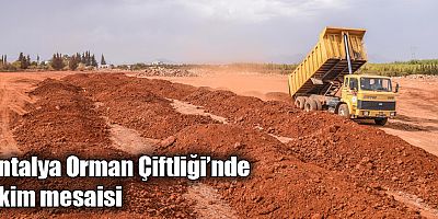 Antalya Orman Çiftliği’nde ekim mesaisi