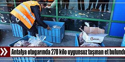 Antalya otogarında 270 kilo uygunsuz taşınan et bulundu