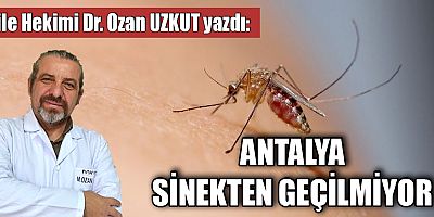 ANTALYA SİNEKTEN GEÇİLMİYOR