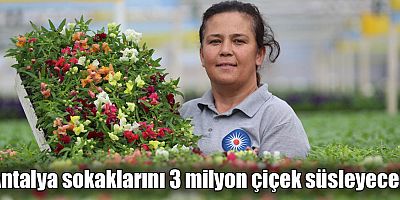 Antalya sokaklarını 3 milyon çiçek süsleyecek