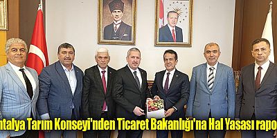 Antalya Tarım Konseyi'nden Ticaret Bakanlığı'na Hal Yasası raporu