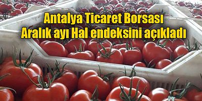 Antalya Ticaret Borsası Aralık ayı Hal endeksini açıkladı