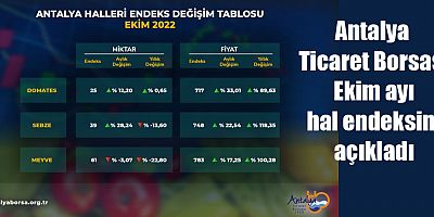 Antalya Ticaret Borsası Ekim ayı hal endeksini açıkladı