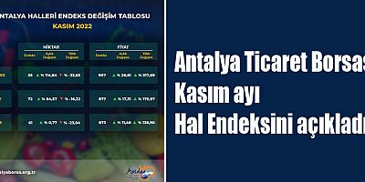 Antalya Ticaret Borsası Kasım ayı Hal Endeksini açıkladı