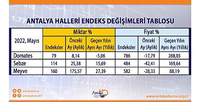Antalya Ticaret Borsası Mayıs ayı Hal Endeksini açıkladı