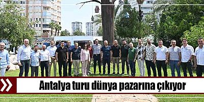 Antalya turu dünya pazarına çıkıyor
