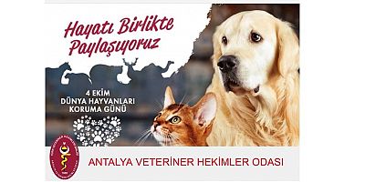Antalya Veteriner Hekimler Odası'ndan 4 Ekim Dünya Hayvanları Koruma Günü mesajı