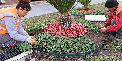 Antalya yaz kış rengarenk