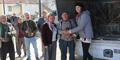 Antalyalı çiftçilere ceviz ve meyve ağacı fidanı dağıtılıyor