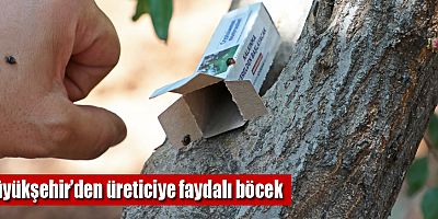 Antalyalı üretici biyolojik mücadele veriyor