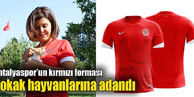 Antalyaspor’un kırmızı forması sokak hayvanlarına adandı