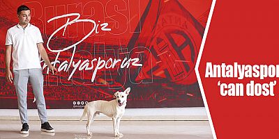 Antalyaspor’un yeni misafiri; ‘Akrep’