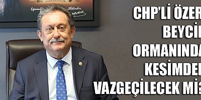 Antik Likya Yolu'ndaki ağaç isyanı Meclis gündeminde