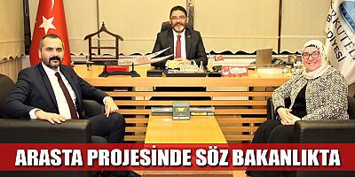 Arasta Projesi'nde söz Bakanlıkta